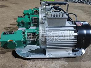 泊頭海濤泵業WCB手提式齒輪油泵